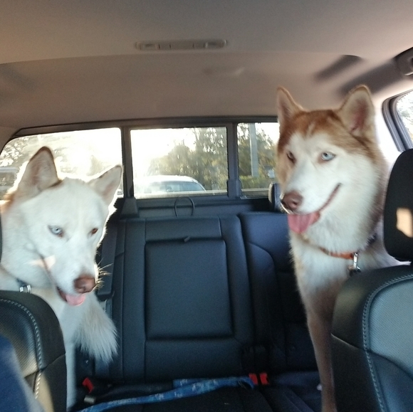 ❤ My Baby Girls ❤ - Picture 3 of 12